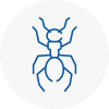 Ant Removals In Redditch