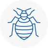 Bed Bug Extermination In Redditch