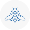 Bee Nest Removal Redditch