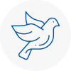 Bird Prevention Redditch