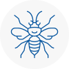 Redditch Hornet Nest Removals