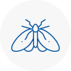 Moth Control Specialists In Redditch