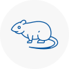 Rat Control Redditch