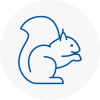 Redditch Rodent Removals